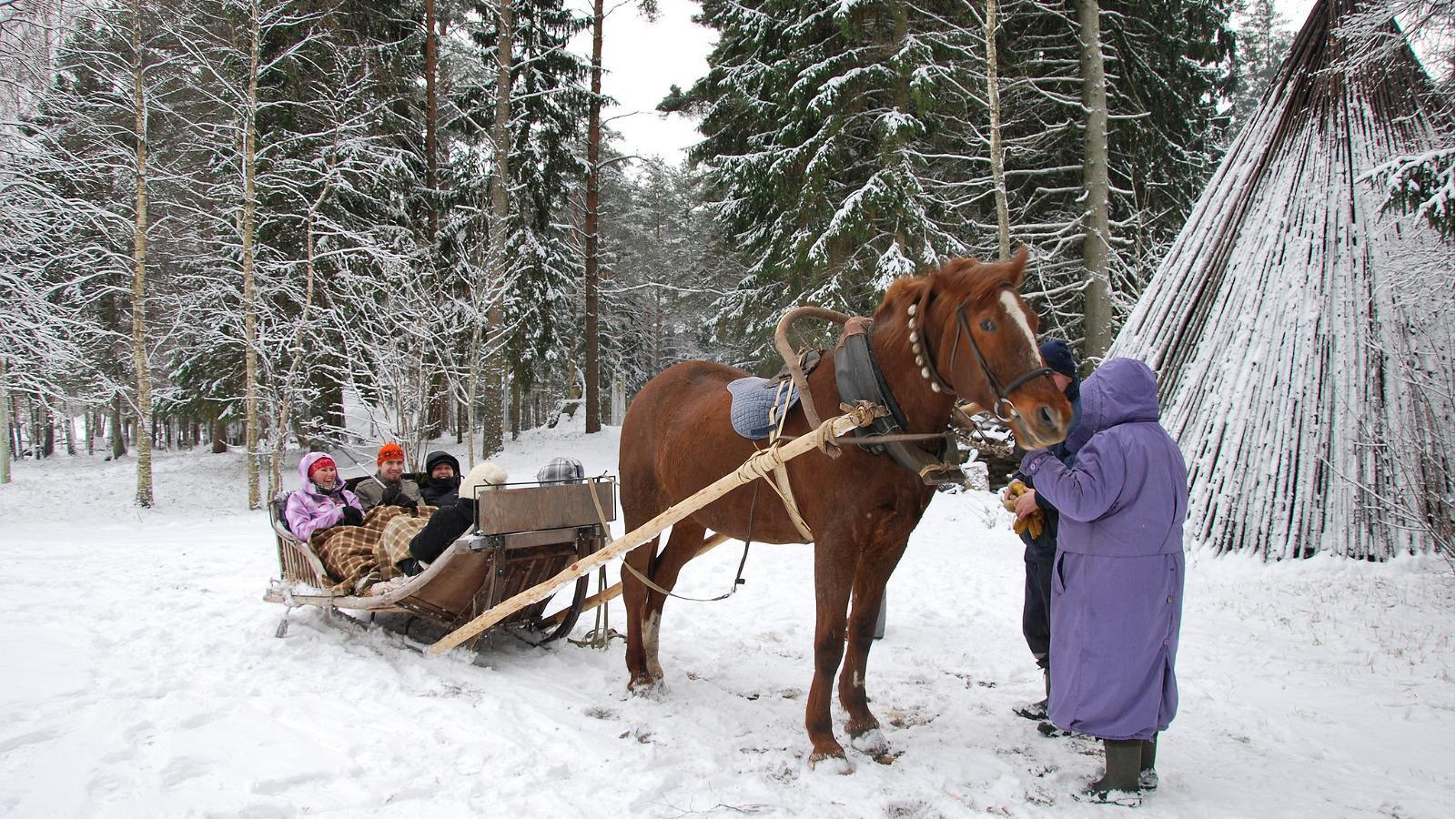 Reesõit talvises looduses Pärnumaal